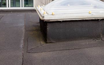 disadvantages of East Howe flat roofs