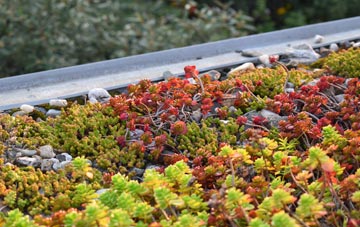 the cost of East Howe green roof installation