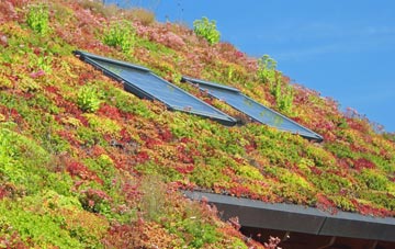 East Howe living roof systems