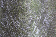 East Howe fibreglass roof work